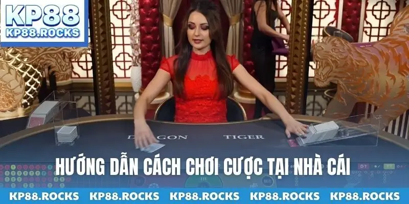 Hướng dẫn cách chơi cược tại nhà cái